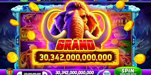 bgd33 bet অ্যাপ স্ক্রিনশট ২
